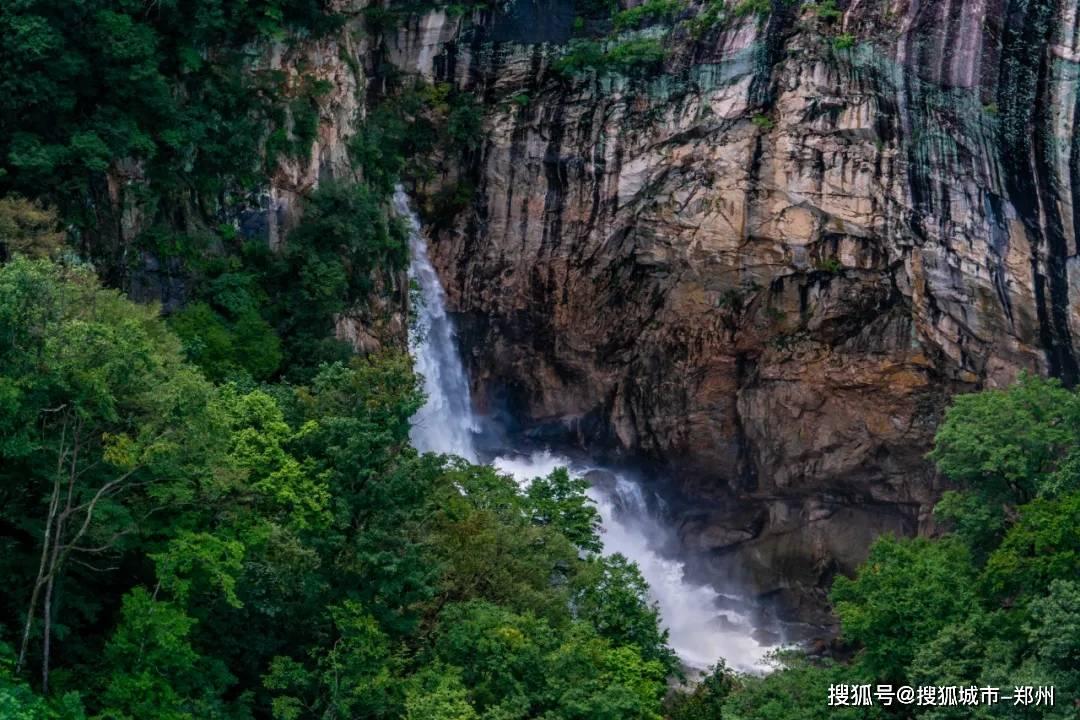 漫展发现欧美美女cos罗宾,身材火辣,跟真人一样,一眼就能认出