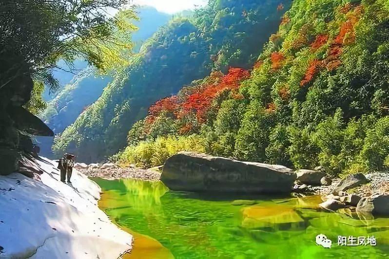 小猫钓鱼游戏龙王版有船
